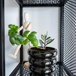 Queen's Palace Balchik