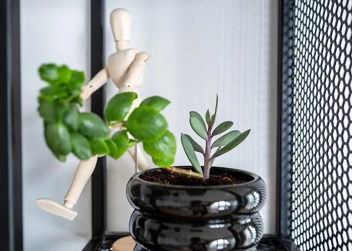 Queen's Palace Balchik